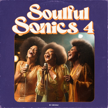 Load image into Gallery viewer, SOULFUL SONICS VOL.4
